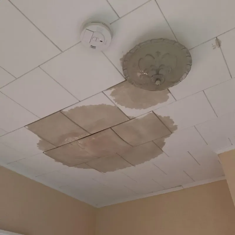 Ceiling Water Damage Repair in Saint Stephens, NC