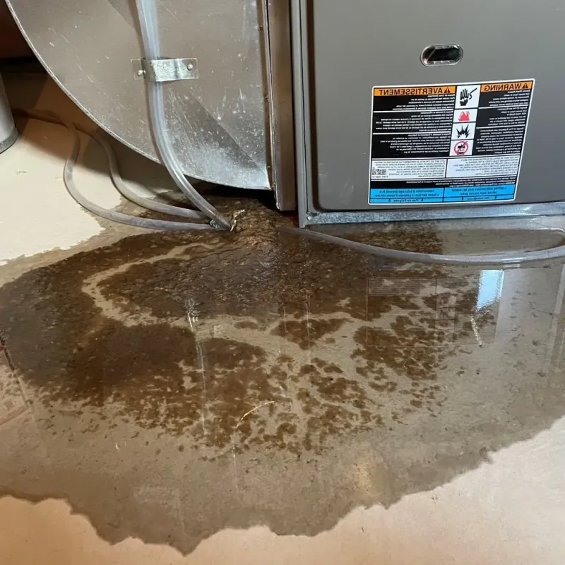 Pipe Burst and Leak Restoration in Saint Stephens, NC